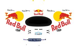 2017 Red Bull Helmet Template (career) | RaceDepartment