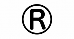 Problems Using the Registered Trademark Symbol with Products ...
