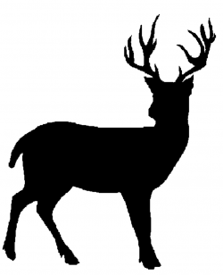 Deer clipart black and white free clipart images | deer images ...