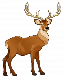 Realistic Reindeer Cliparts - Cliparts Zone