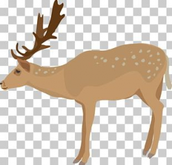Realistic Reindeer Cliparts PNG Images, Realistic Reindeer Cliparts ...