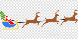 Reindeer, Deer, Text, transparent png image & clipart free download