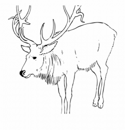 Reindeer Clipart Black And White Santa Clipart Hatenylo - Caribou ...