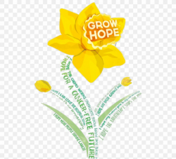 Relay For Life American Cancer Society Cancer Research ...