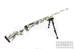 Cerakote Coatings: Gallery Detail