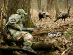 Download FREE Computer Wallpapers from Remington « Daily ...