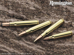Remington firearms wallpaper #5 - 1024x768 Wallpaper ...