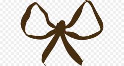 Ribbon Invertebrate png download - 600*479 - Free Transparent Ribbon ...