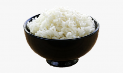 Rice Clipart Rice Paddy - Transparent Bowl Of Rice Png ...