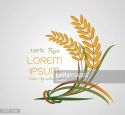 Rice Logo, Agriculture symbols logo vector Clipart Image | + ...
