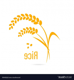 HD Rice Logo Vector Image » Free Vector Art, Images ...