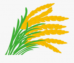 Rice Paddy Field Grasses Clip Art - Rice Field Icons Clipart ...