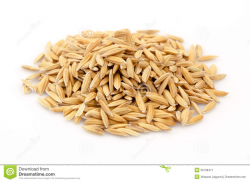 Download for free 10 PNG Grains clipart palay top images at ...