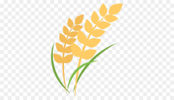 Rice Cartoon clipart - Rice, Flower, Plant, transparent clip art