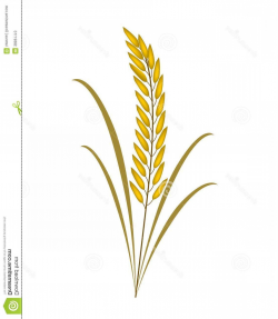 Rice plant clipart 2 » Clipart Portal