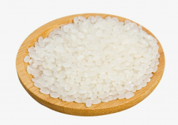 Rice on plate clipart 6 » Clipart Portal