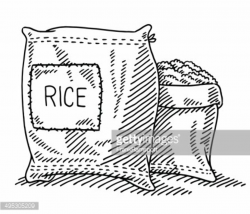 Sack Of Rice Drawing Clipart Image | +1,566,198 clip arts