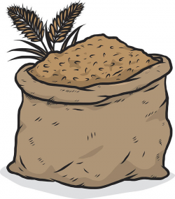 Paddy Rice In Brown Sack Art Print