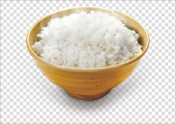 Tangyuan Cooked rice, Rice material transparent background ...