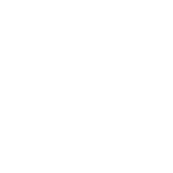 Riot Developer Portal