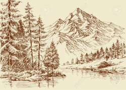 Stock Vector in 2019 | Forest sketch, Landscape sketch ...