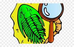 Fossil Clipart Geology Rock - Fossil Clip Art - Png Download ...