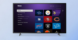 Add your favorite NFL team\'s Roku channel!