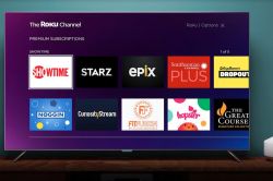 Roku launches premium subscriptions for Showtime, Starz, and ...
