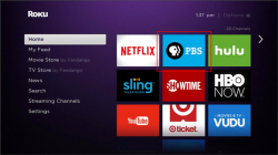 How do I log into my Passport account on my Roku device ...