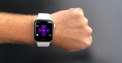 The free Roku app on Apple Watch is now available