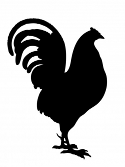 Rooster Black Silhouette Clipart Free Stock Photo - Public ...