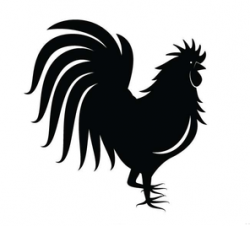 Rooster Breakfast