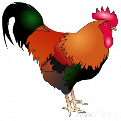 Chicken Rooster Bird Transparent Image Clipart Free Png - AZPng