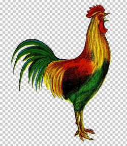Welsummer Rooster Open De Colores PNG, Clipart, Beak, Bird ...