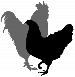 Farmhouse clipart chicken, Farmhouse chicken Transparent ...