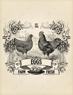 Instant Download Printable Farm Fresh Eggs Sign Chicken ...