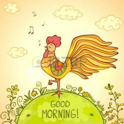 illustration of a sing morning beautiful Cockerel | art ...