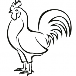 Cute Rooster Drawing | Free download best Cute Rooster ...