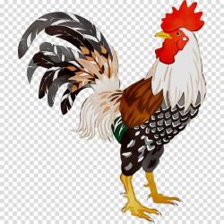 Chicken Cartoon clipart - Rooster, Chicken, Bird ...