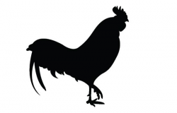 Rooster Silhouette Vector Free Download in 2019 | Rooster ...