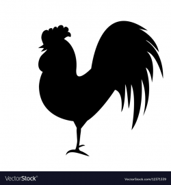 Rooster silhouette on white