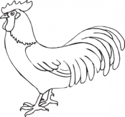 Free Rooster Clip Art, Download Free Clip Art, Free Clip Art ...