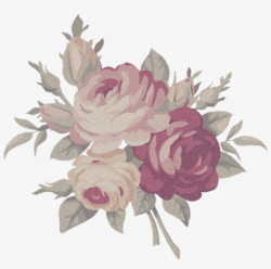 Aesthetic Flower Png - Aesthetic Rose Png - Free Transparent PNG ...