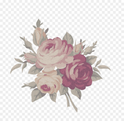 Flower, Illustration, Rose, transparent png image & clipart free ...