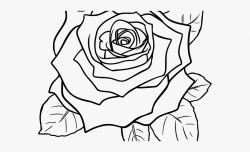 White Rose Clipart Guldasta - Rose Flower Clip Art Black And ...