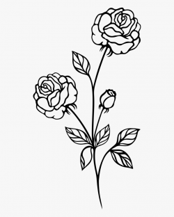 Single Rose Black And White Clipart - Rose Plant Black And ...