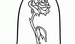 Beauty And The Beast Rose Drawing | Free download best ...