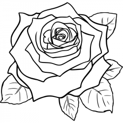 rose cartoon Drawing how to draw a cute cartoon rose also ...