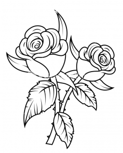 White flower clipart white rose pencil and in color flower ...