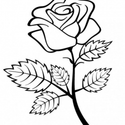 Pin by Enosart.com on Black and White Clipart | Rose ...